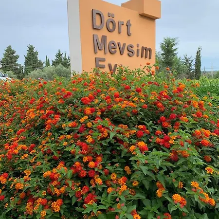 Dort Mevsim Evi *