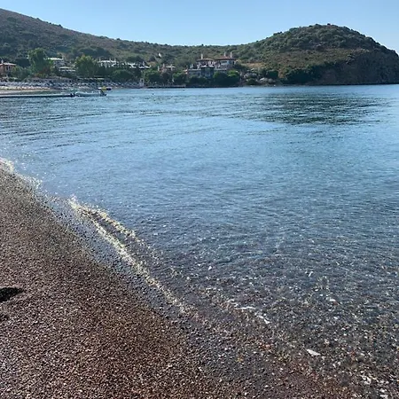 Dort Mevsim Evi *
